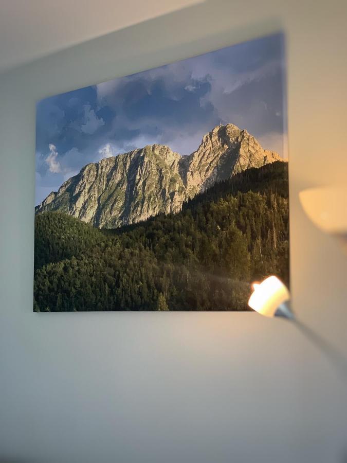 Apartament Lesny Z Kominkiem - Viva Pod Giewontem Apartamenty ซาโกปาเน ภายนอก รูปภาพ